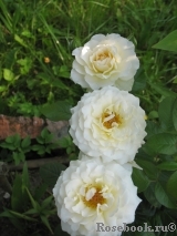 Lilian Baylis Lilian Baylis