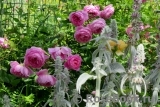 Alan Titchmarsh Alan Titchmarsh