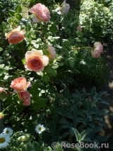 Abraham Darby Abraham Darby