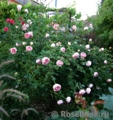 Abraham Darby Abraham Darby