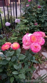 Gartenspass ® Gartenspass ®