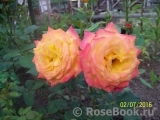 Gartenspass ® Gartenspass ®