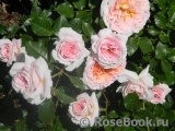 Abraham Darby Abraham Darby