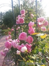 Alan Titchmarsh Alan Titchmarsh