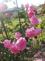 Alan Titchmarsh Alan Titchmarsh