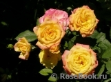 Gartenspass ® Gartenspass ®