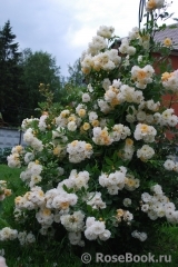 Ghislaine de Feligonde Ghislaine de Feligonde