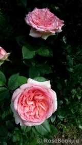 George Sand George Sand