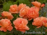 Westerland Westerland