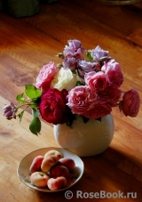 COMPOSITION COMPOSITION