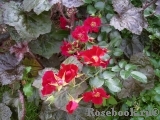 Sommerabend Sommerabend