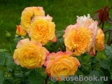 Gartenspass ® Gartenspass ®
