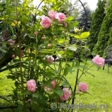 Domaine de Courson ® Domaine de Courson ®