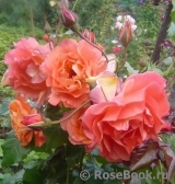 Westerland Westerland