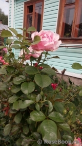 Cote Jardins Cote Jardins