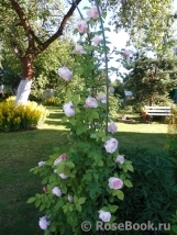 Generous Gardener, The Generous Gardener, The