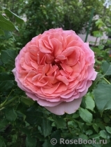 Abraham Darby Abraham Darby
