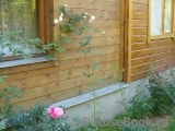 Albrighton Rambler, The Albrighton Rambler, The