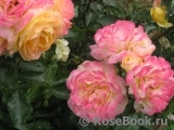 Gartenspass ® Gartenspass ®
