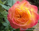 Gartenspass ® Gartenspass ®