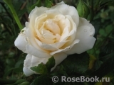 Pride and Prejudice Pride and Prejudice