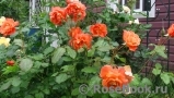 Westerland Westerland