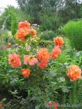 Westerland Westerland
