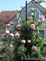 Abraham Darby Abraham Darby