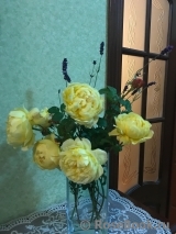 COMPOSITION COMPOSITION