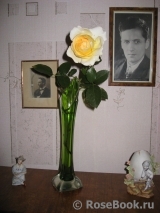 COMPOSITION COMPOSITION