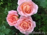 Abraham Darby Abraham Darby