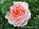 Abraham Darby Abraham Darby