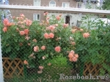 Westerland Westerland