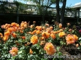 Westerland Westerland