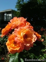 Westerland Westerland