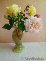 COMPOSITION COMPOSITION