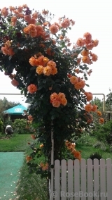 Westerland Westerland