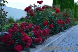 Insel Mainau Insel Mainau