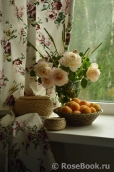 COMPOSITION COMPOSITION
