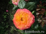 Gartenspass ® Gartenspass ®