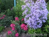 Marjorie Fair ® Marjorie Fair ®