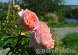 Abraham Darby Abraham Darby