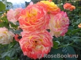 Gartenspass ® Gartenspass ®