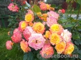 Gartenspass ® Gartenspass ®