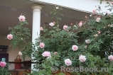 A Shropshire Lad A Shropshire Lad