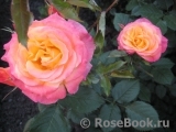 Gartenspass ® Gartenspass ®