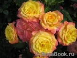 Gartenspass ® Gartenspass ®