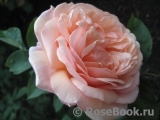 Abraham Darby Abraham Darby