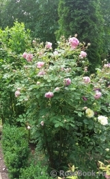 Alan Titchmarsh Alan Titchmarsh