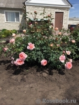 Abraham Darby Abraham Darby